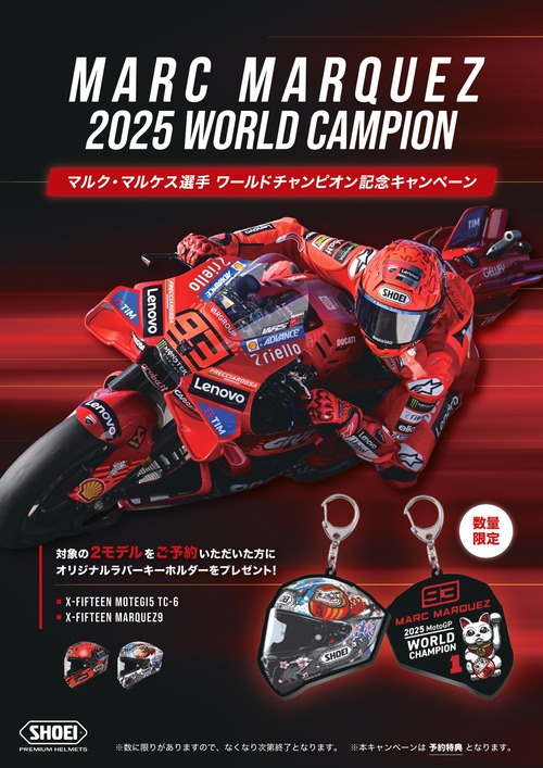 dsgnAP2025-128_SHOEI �ޥ륱�����゙��ͽ����ŵ_260116 (1)_page-0001