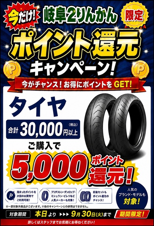 ����2����5000P�Ը�������