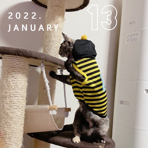 E3B01E80-AE43-48EB-AF85-D3FCF5225901