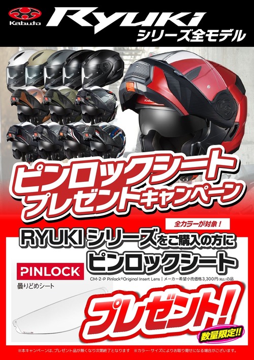 JPGRYUKI_PINLOCKプレゼントA4_page-0001