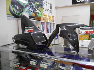 DSCN1259
