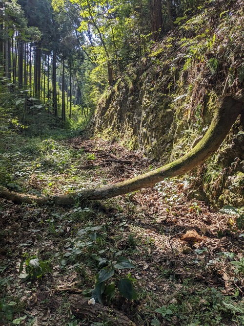 PXL_20251014_024447252