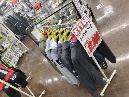 IMG_20250113_161224256