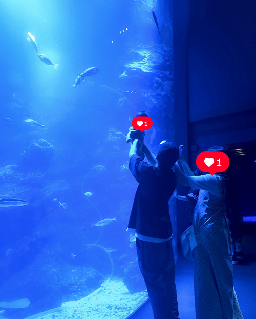 京都水族館