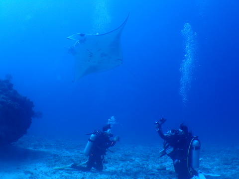 PB060196