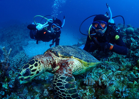 LINE_ALBUM_2024.3.21〜23_240401_51