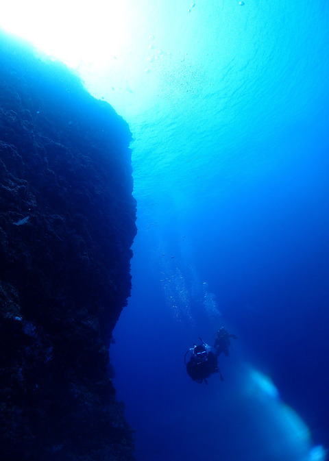 LINE_ALBUM_2024.3.21〜23_240401_29