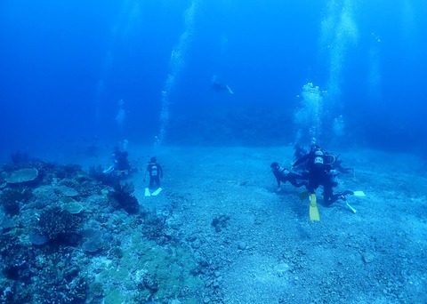P8170348