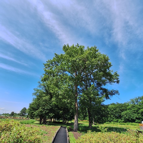 20260625_142019