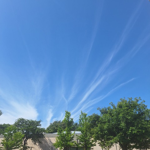 20260717_084251