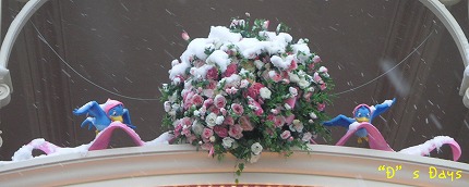 雪の日のプリデイ 小鳥さん頑張る