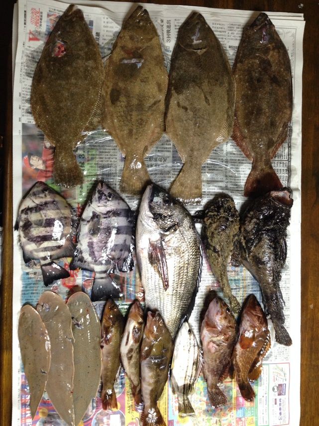 素潜り 魚突き 14 中四国の釣り日記 素潜り 魚突き 14 中四国の釣り日記