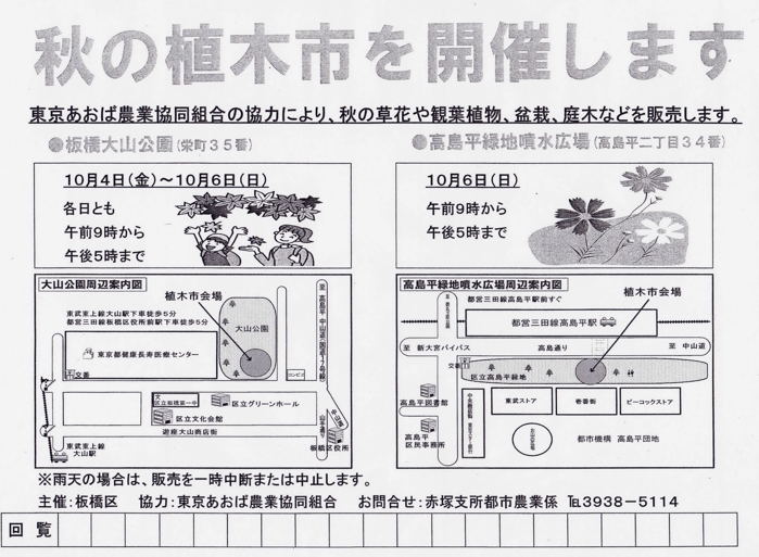 ڻԣ