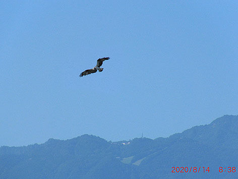 CIMG8242