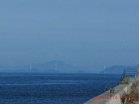 CIMG8221