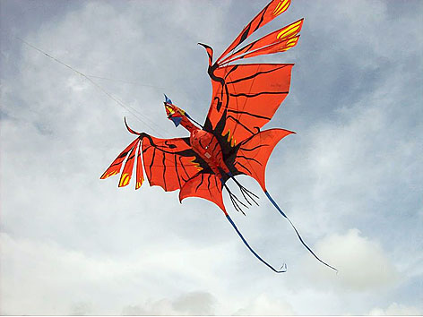 滑空凧練習 デジタルスタジオナガイ こどもらいおん 滑空凧練習 デジタルスタジオナガイ こどもらいおん