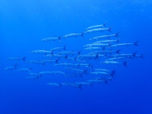 最高のお天気🌞