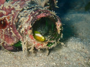 大雨のち晴れ🌞