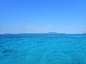 最高のダイビング日和♪