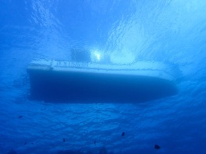 ナカモトさんに会いに💕