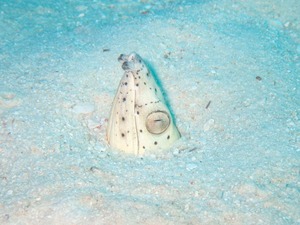 竹富南へ