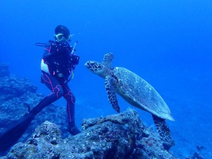 タイマイの逆立ち