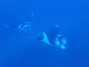 ヨナラ＆野原曽根へ