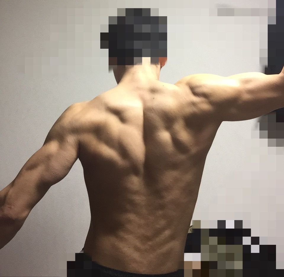 腕立て腹筋スクワット１００回二年間やった結果ｗｗｗｗｗｗｗｗｗｗ 腹筋速報 筋トレまとめ