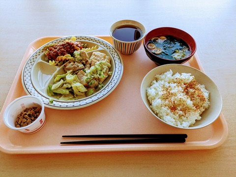 塩こうじだれチキン+マカロニミートソース