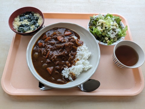 ビーフストロガノフ+チーズサラダ