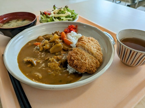 チキンカレー＋レタスサラダ