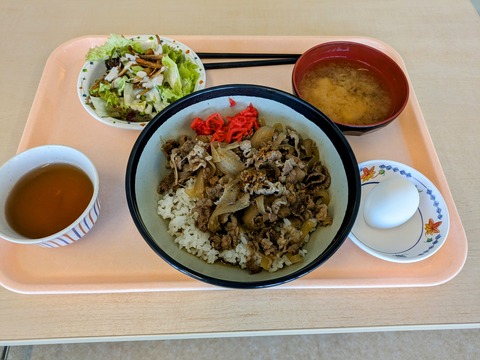 牛丼＋ごぼうサラダ