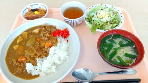 カレーとチーズサラダ