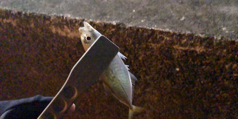 IMG_20200130_210401