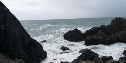 IMG_20210302_113428