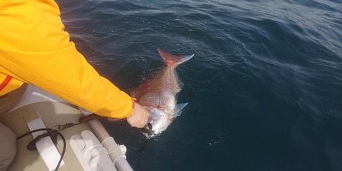 IMG_20210330_094715