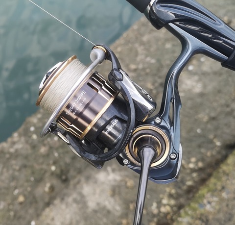 IMG_20210613_165656~2