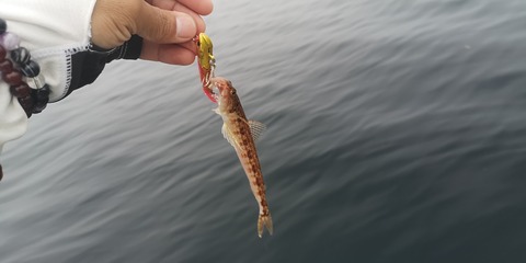 IMG_20210626_065056
