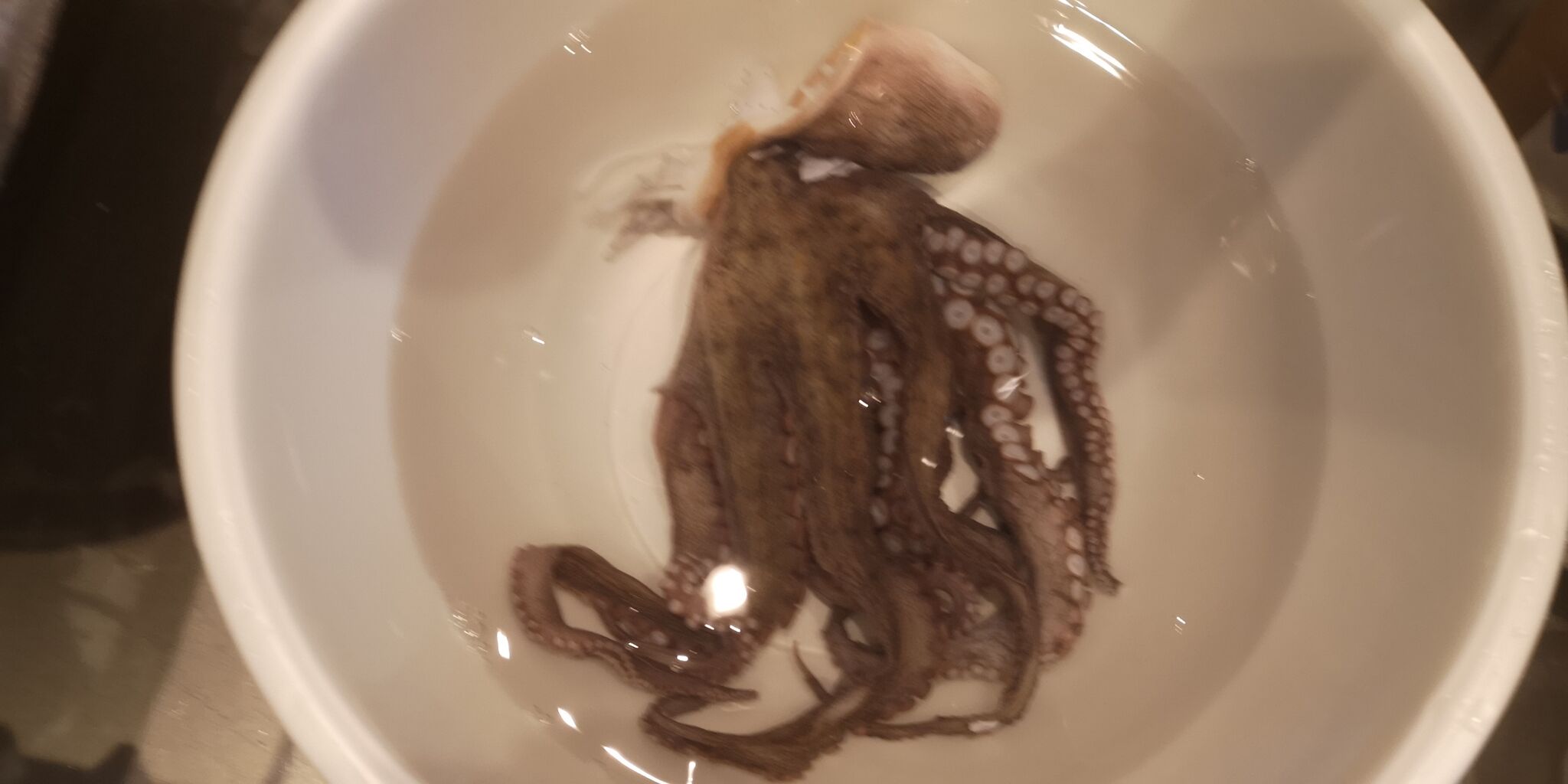 塩を使わないタコの簡単ヌメリ取り D S Taste Life 塩を使わないタコの簡単ヌメリ取り D S Taste Life