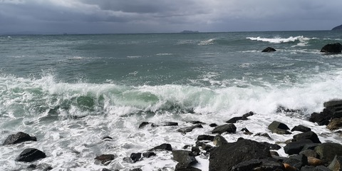 IMG_20210302_105425
