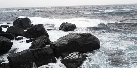 IMG_20210207_081442