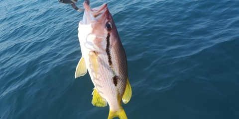 IMG_20210530_092726