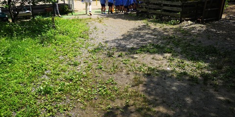 IMG_20200708_104712