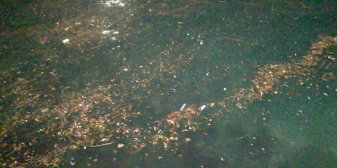 IMG_20210208_003851