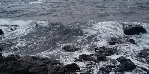 IMG_20210207_065511