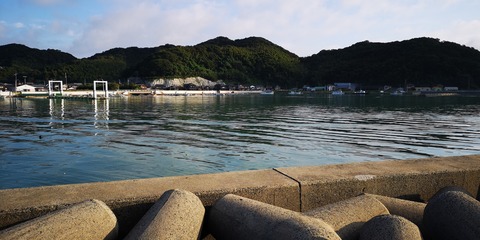IMG_20190929_073440