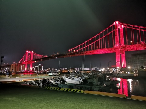 IMG_20191208_212021_r