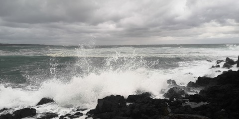 IMG_20210302_081653