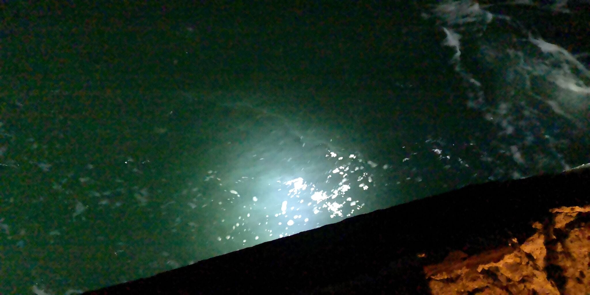 ウェイター クラブ 追い付く 集魚 灯 タチウオ Konkatunavi Jp ウェイター クラブ 追い付く 集魚 灯 タチウオ Konkatunavi Jp