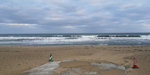 IMG_20210303_071137